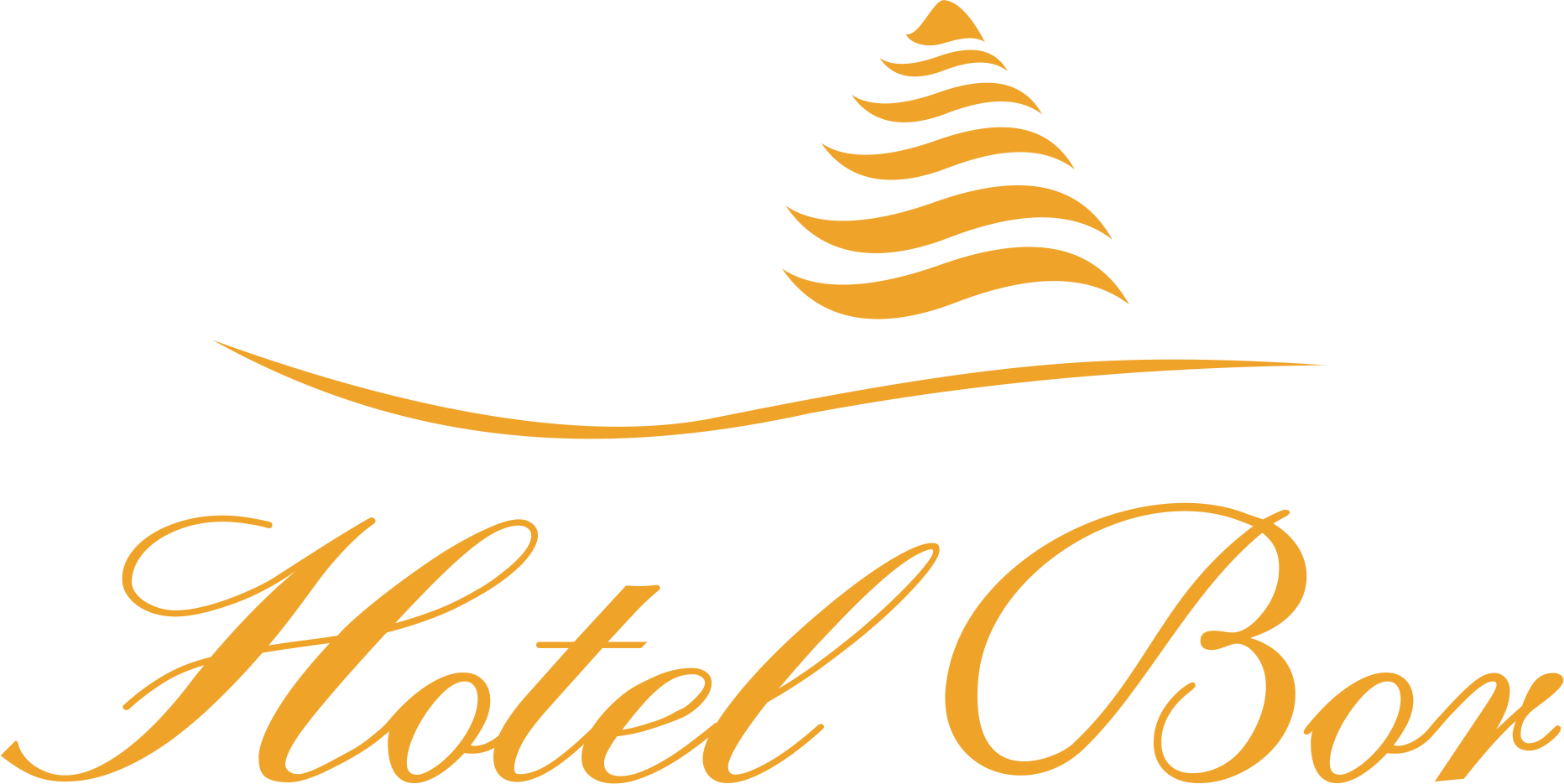 Hotel Bor